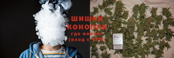 прущая мука Инта