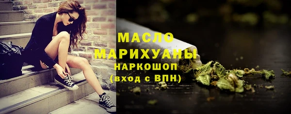 гидра Снежногорск