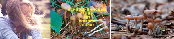 2c-b Иннополис