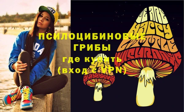 2c-b Иннополис