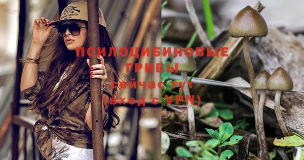 не бодяженный Инсар