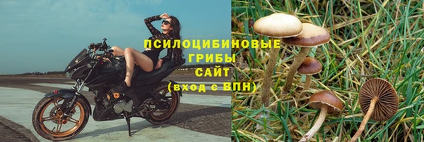 прущая мука Инта