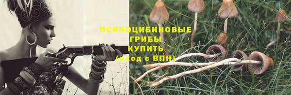 прущая мука Инта
