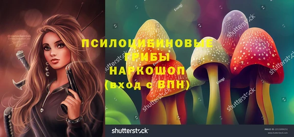 прущая мука Инта