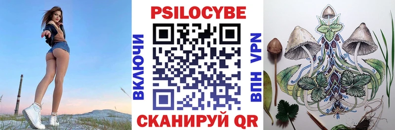 Псилоцибиновые грибы Cubensis  Спас-Деменск 